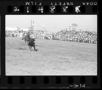 Gordon Wilkerson Calf Roping