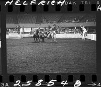 Billy Hale Steer Wrestling