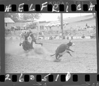 Dale Carroll Calf Roping