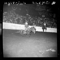 Jackie Wright down on Sonny Boy  in arena