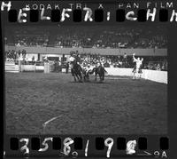 Bob Perkins Steer Wrestling