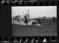 Wayne Wakley Steer Wrestling  (1st Day)