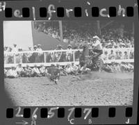 Don McLaughlin Calf Roping