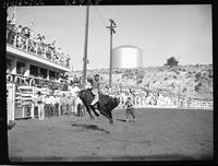 Joe Louis on Geronimo  (CB)