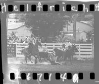 Mark Schrisker Steer Wrestling