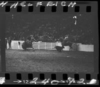 Dean Oliver Calf Roping