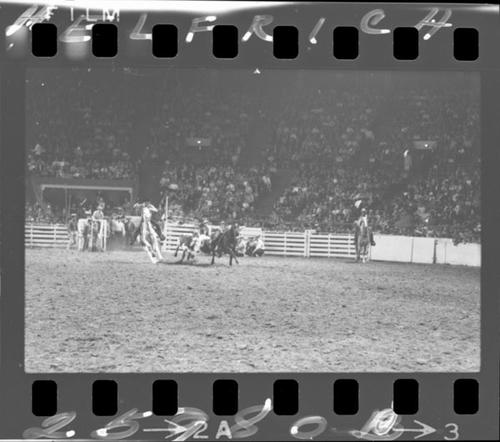 January 17, 1965  RCA Rodeo; Sunday Afternoon