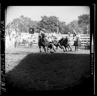 Bob Nordtome Steer Wrestling