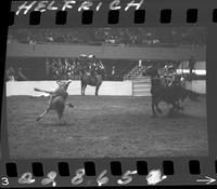 Ronnye Sewalt Calf Roping