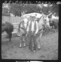 Jack Hart & two grey horses