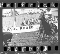 Warren Wuthier Calf Roping