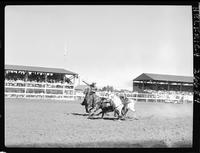 Willard Combs Steer Wrestling