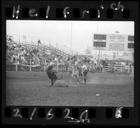 Terry Graside Calf Roping