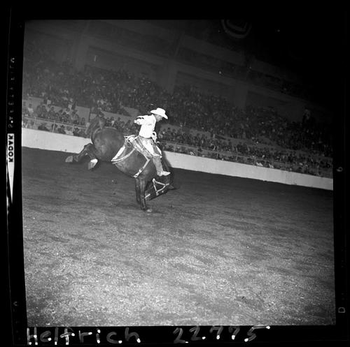 November 03, 1963  Cow Palace  (Afternoon)