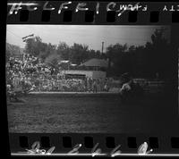 Warren Wuthier Calf Roping