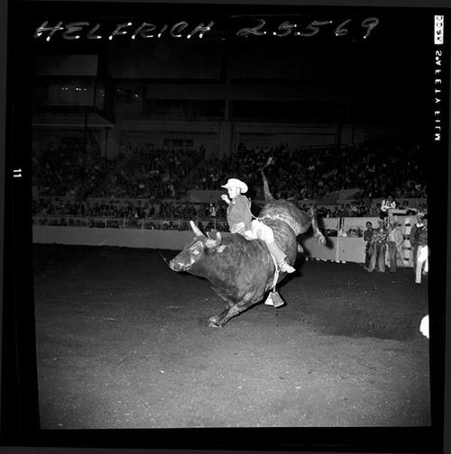 October 30, 1964  "Cow Palace"  Nite