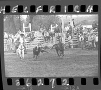 Dewey Dunaway Steer Wrestling