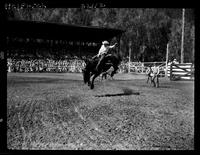 Chuck Jacobs on Brown Jug  (K-S)