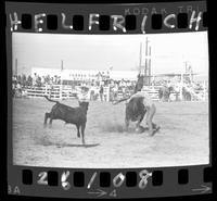 Riley Freeman Calf Roping