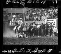 Gene Miles Steer Wrestling