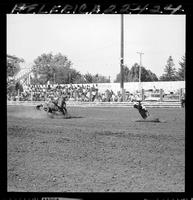 Don Posey Calf Roping