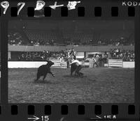 Dean Oliver Calf Roping