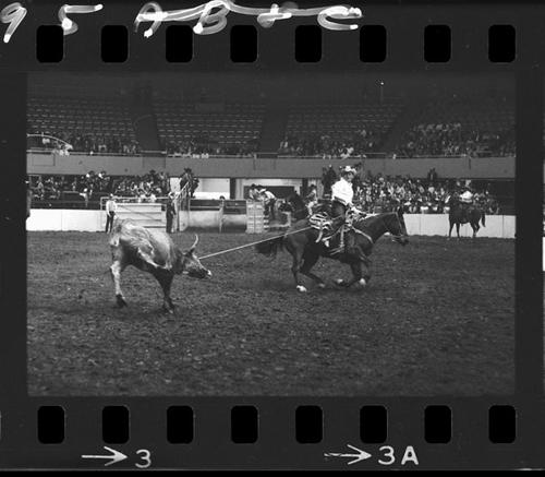 December 1964 Rodeo; 8th &amp; Final Round  TR