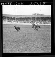 Dusty Bogard Calf Roping