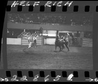 Tom Nesmioth Calf Roping