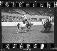 Byron Gist - Garry Gist Team Roping