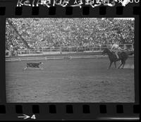 Jerry Anderson Calf Roping