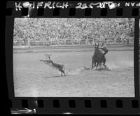 Gary Warburton Calf Roping