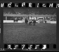 Benny Reynolds Steer Wrestling