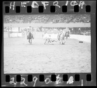 James Bynum Steer Wrestling