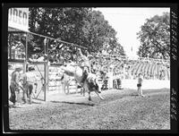 Jack Carson on Pretty Boy