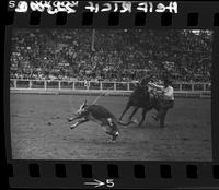 Kenny McLean Calf Roping