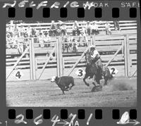 Warren Wuthier Calf Roping