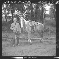 Unidentified & horse