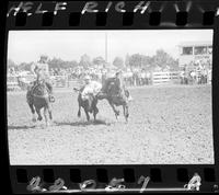 Bill Lindernman Steer Wrestling
