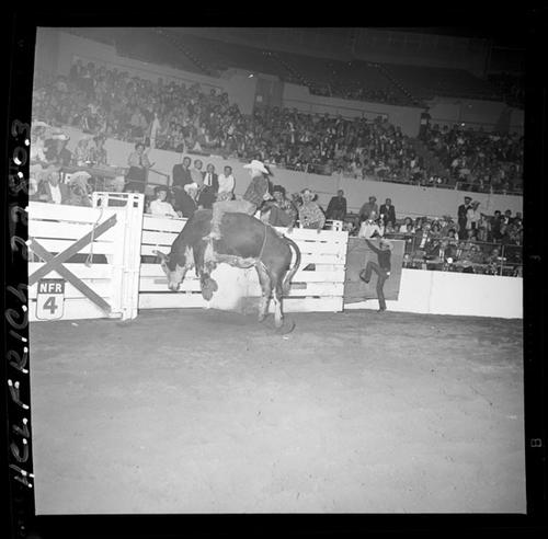 November 26, 1963  Tuesday Afternoon Rodeo; 1st Round BR