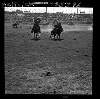 Don Drake Steer Wrestling