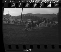 Bob Axton Calf Roping