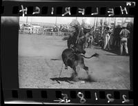 Lowell Ferrell Calf Roping