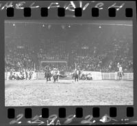 Eddie Monks Steer Wrestle