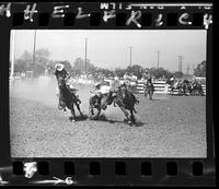 C.T. Jones Steer Wrestling