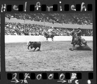 Bob Wiley (possibly Dean Oliver) Calf Roping
