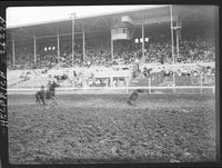Dale Smith Calf Roping