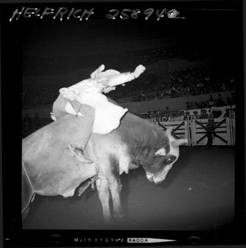 December 1964 Rodeo; Atmosphere