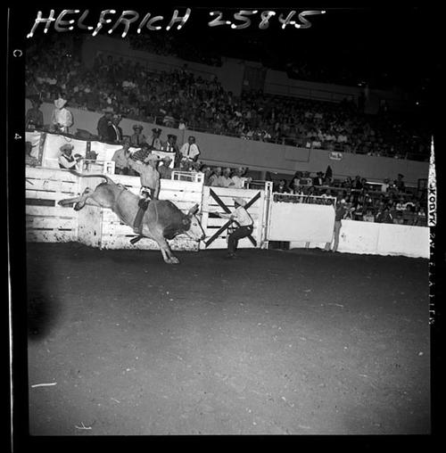 December 1964 Rodeo; 7th Round  BR