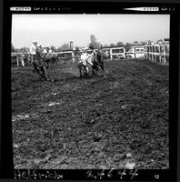 Jim Harvey Steer Wrestling